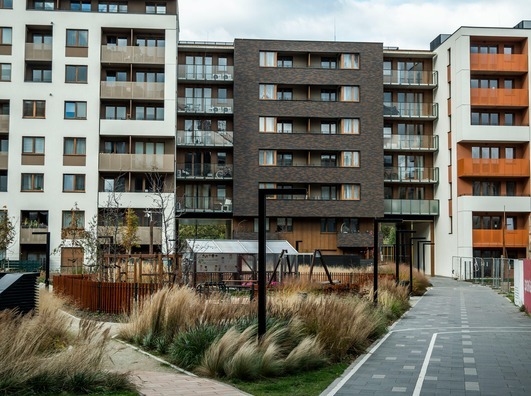 Featured image for What a Rat Infestation Taught Me About Leadership