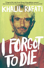 Scribe Blog resource preview