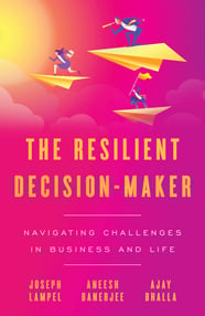 The Resilient Decision-Maker