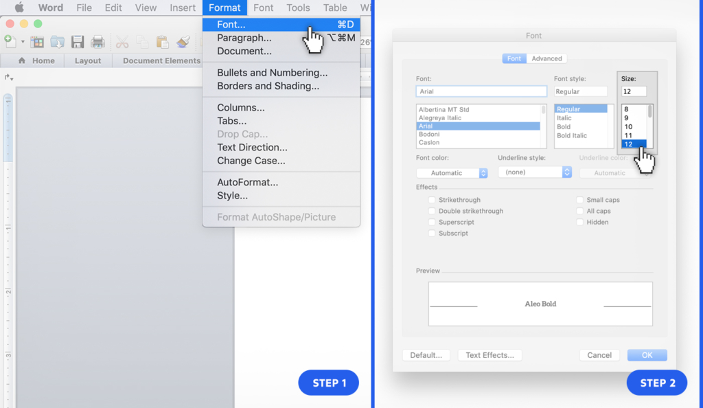 editing font size in word