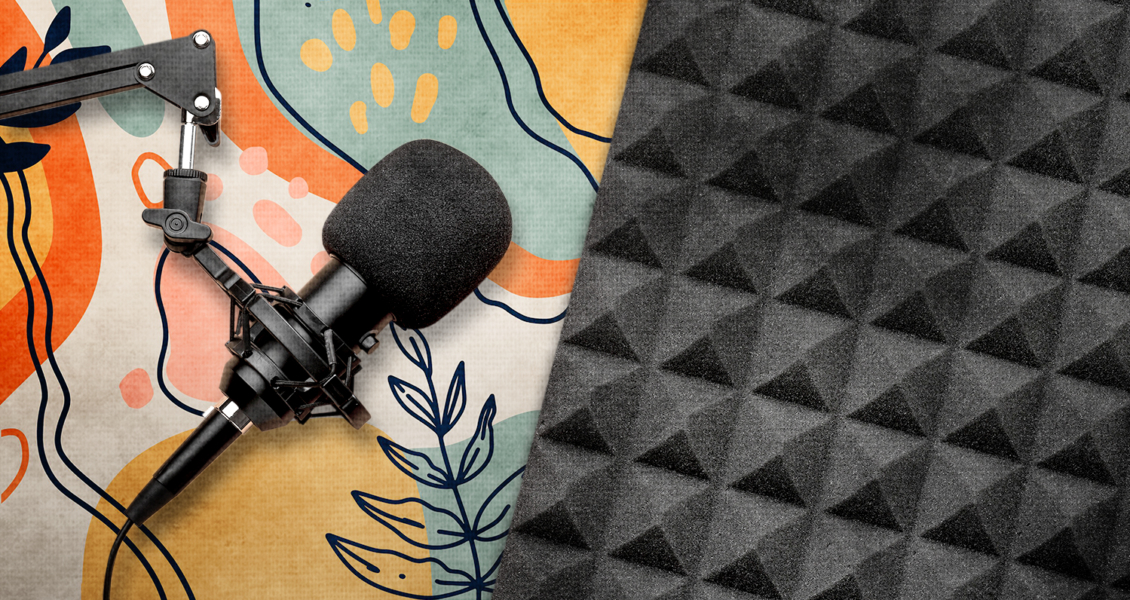 microphone and sound proofing equipment