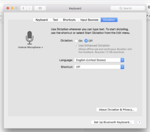 Apple Dictation options (Under Keyboard)