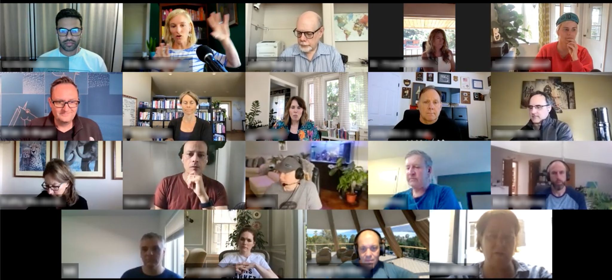 Scribe Media's book writing workshop Zoom call