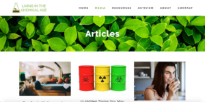 janet newman blog screenshot