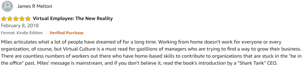 Virtual Culture by Bryan Miles Review