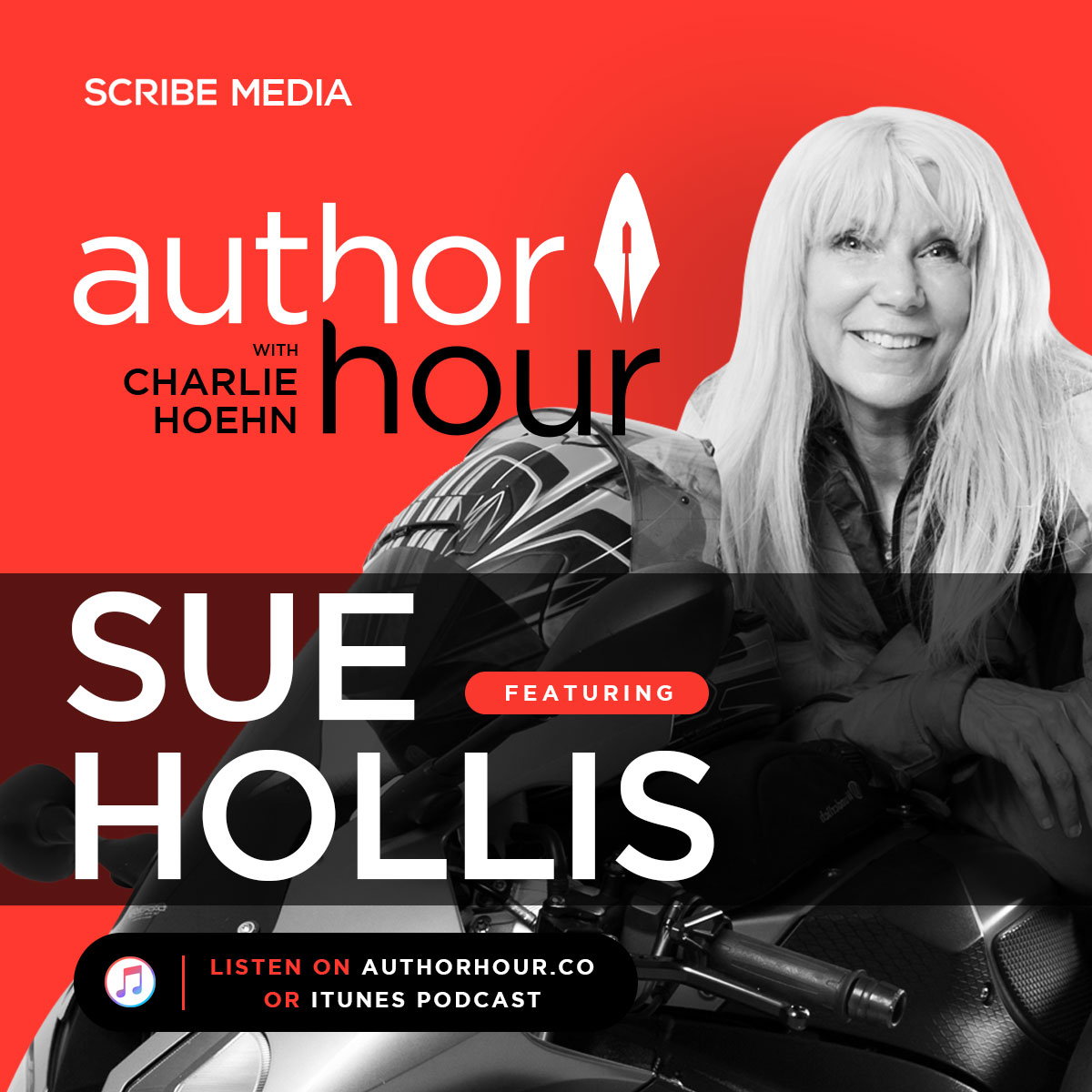 Sue Hollis