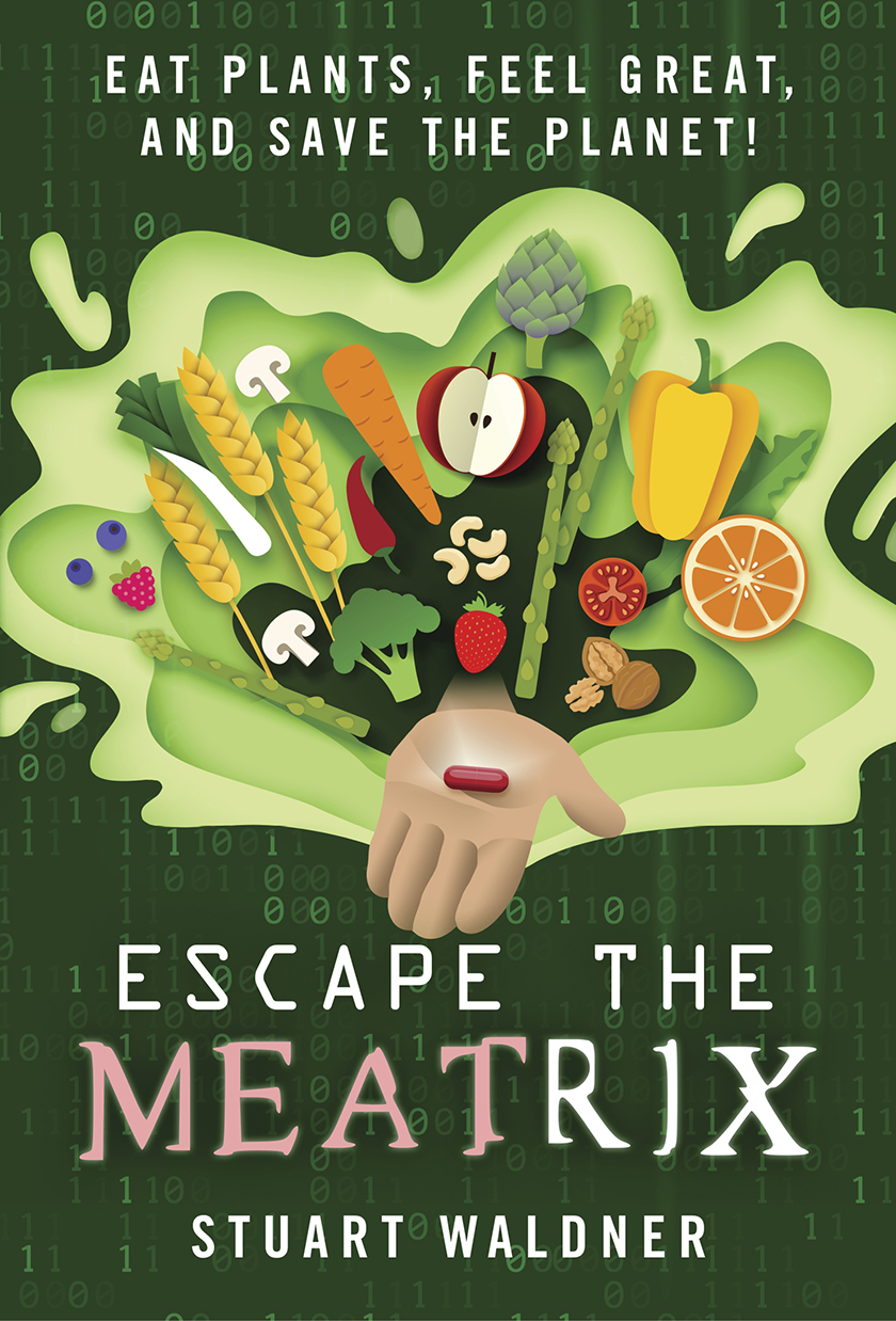 Escape the Meatrix