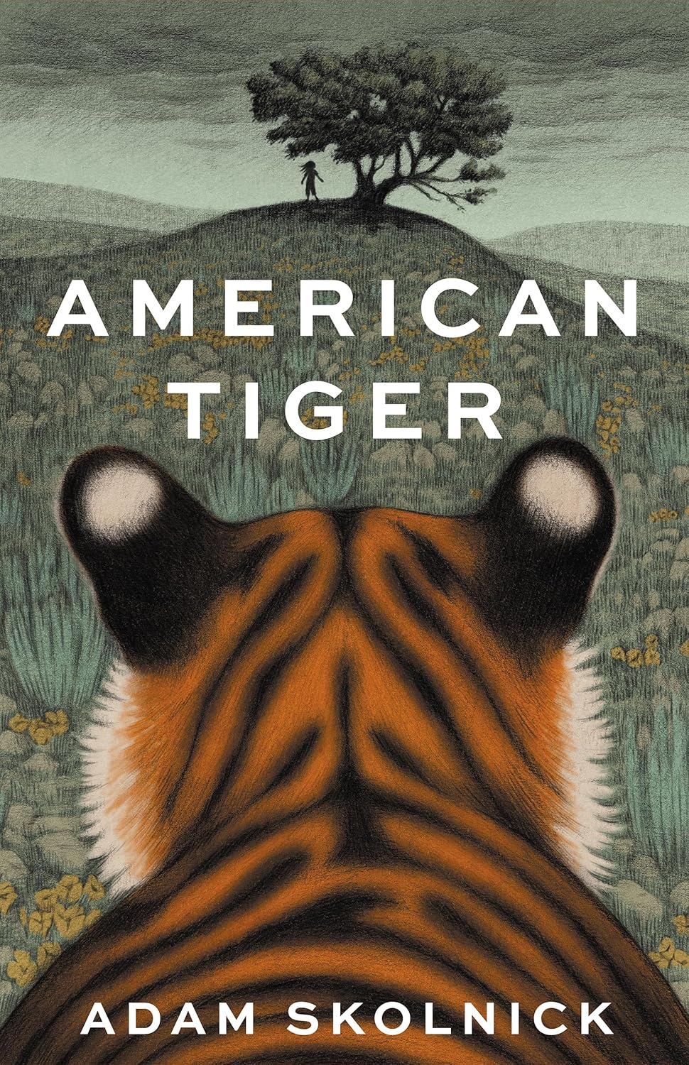 American Tiger