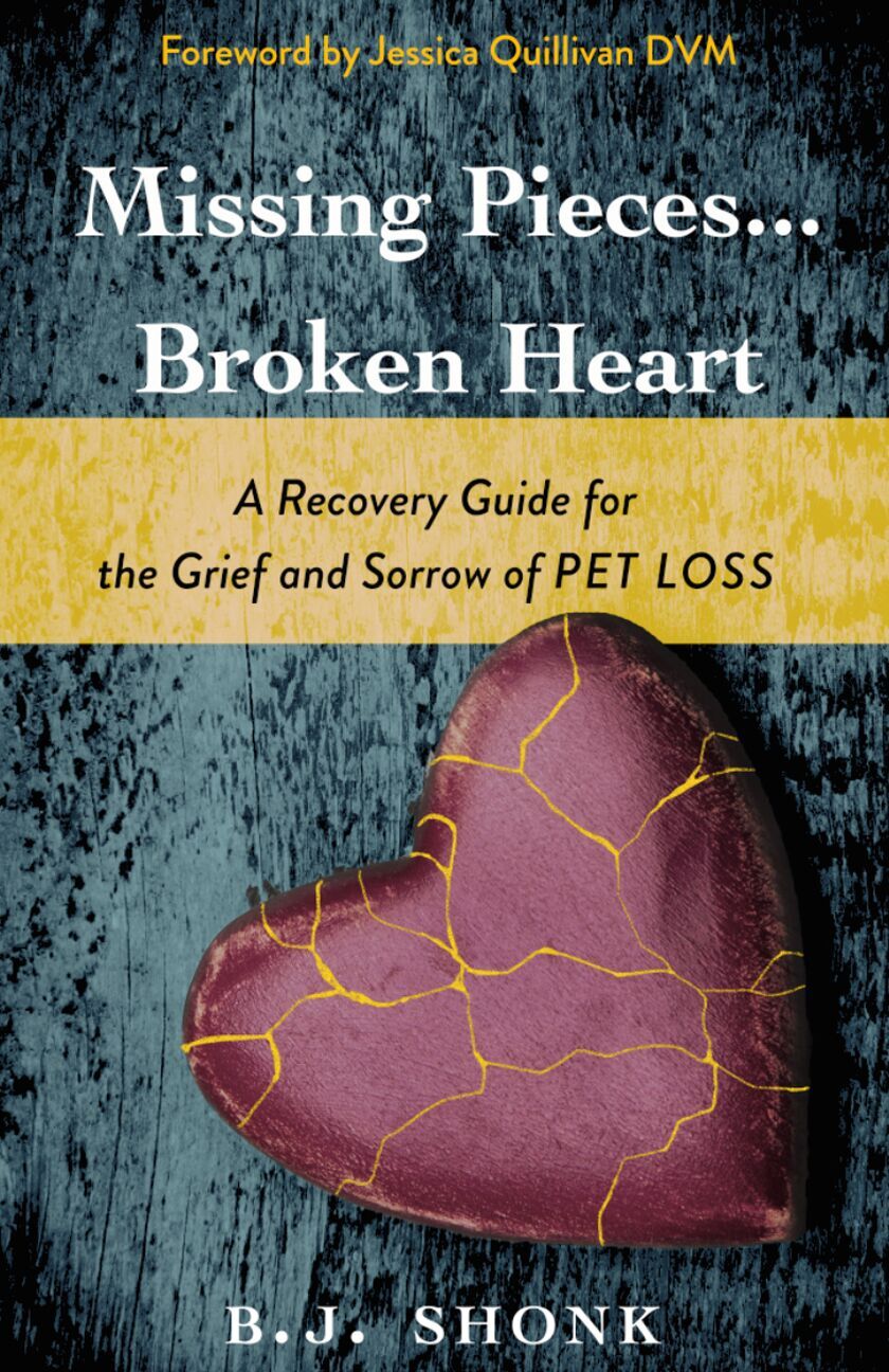 Missing Pieces...Broken Heart