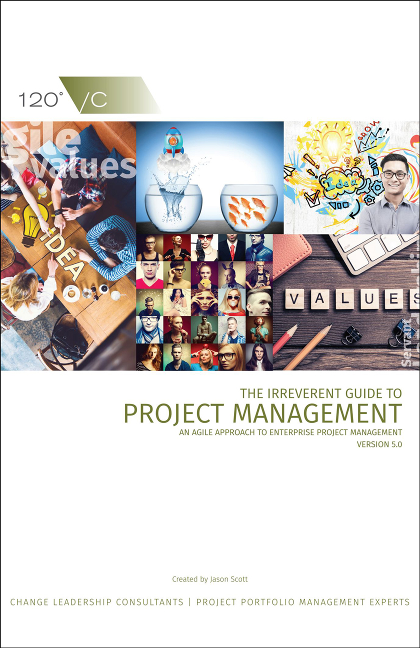 The Irreverent Guide to Project Management