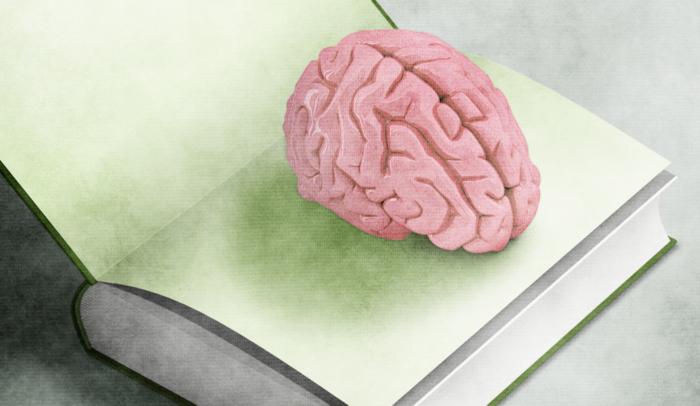 feature image brain in book