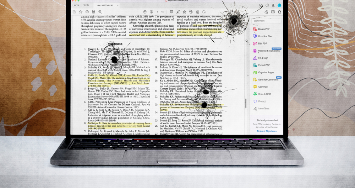 book pages on computer screen with bullet holes