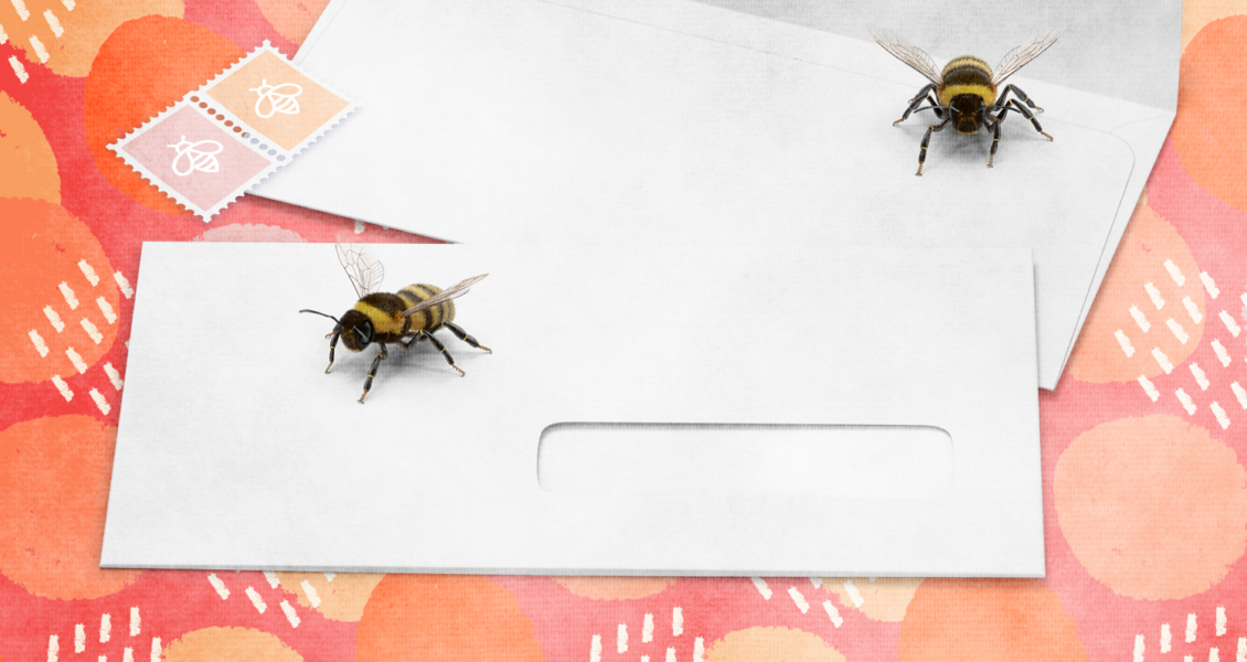 bees on envelopes