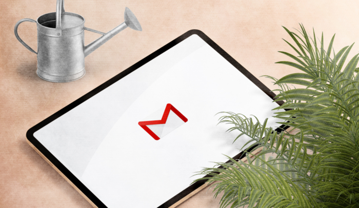 feature image watering can and plant with gmail logo
