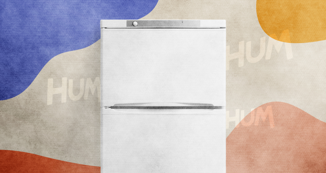 refrigerator with hum noises