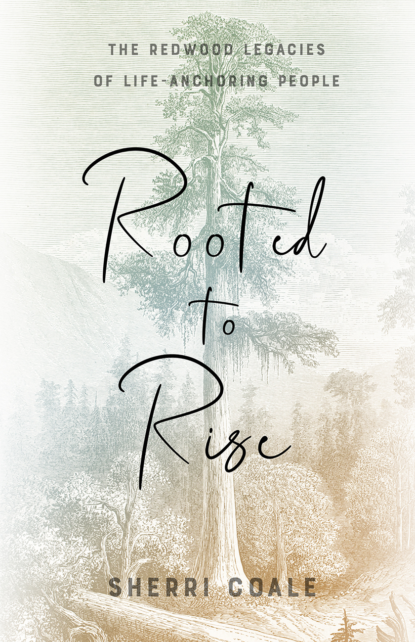 Rooted to Rise